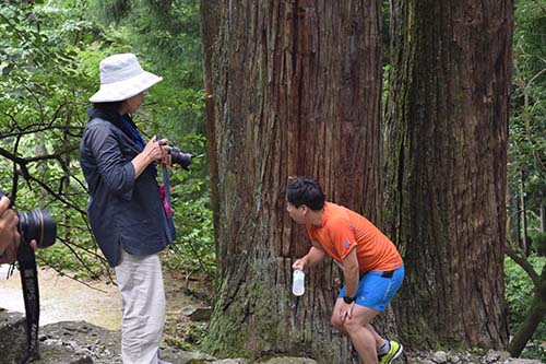 第4回　英彦山参道駆け上がり大会